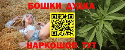 молекула духа Усть-Джегута